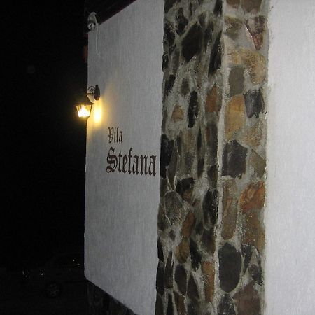 Vila Stefana Păltiniş Eksteriør bilde